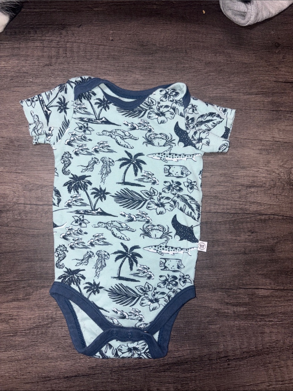 The Honest Company Light Blue Tropical Print Bodysuit with Navy Trim